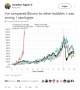 rohstoffbrief.com | Bitcoin: Die Mutter aller Blasen